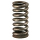 WATER FAUCET SPRING - NQ860