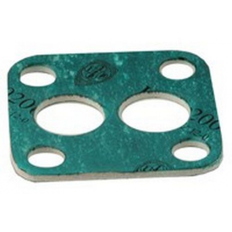ALIMENTARY GROUP GASKET - NXQ65