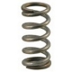SPRINGS VALVE EXPANSION