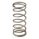 VALVE SPRING - ORQ901