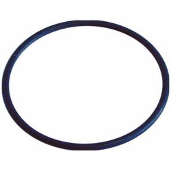 JOINT TORIQUE 47.29X2.62MM POUR CENTURY ORIGINE