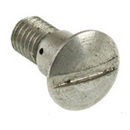 SHOWER SCREEN SECURING SCREW - PNQ756