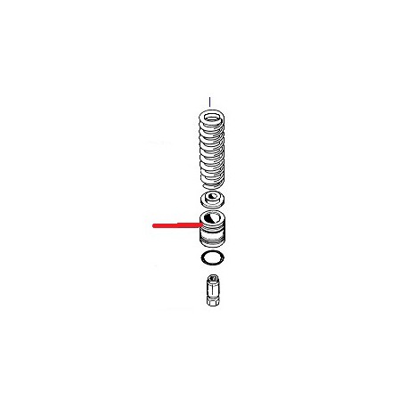 PISTON GROUP - PNQ738