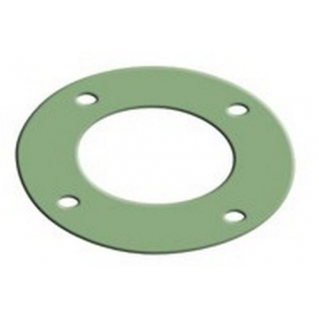 4 HOOL ALIMENTARY GASKET - PQ959