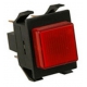 2 POLE LUMINOUS SWITCH STAR - PQ994