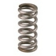 STEAM TUBE SPRING