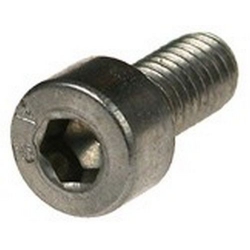 SCREW IN STAINLESS 4X8