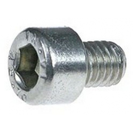 STAINLESS STEEL SCREW ALLEN 6X8 - PBQ640