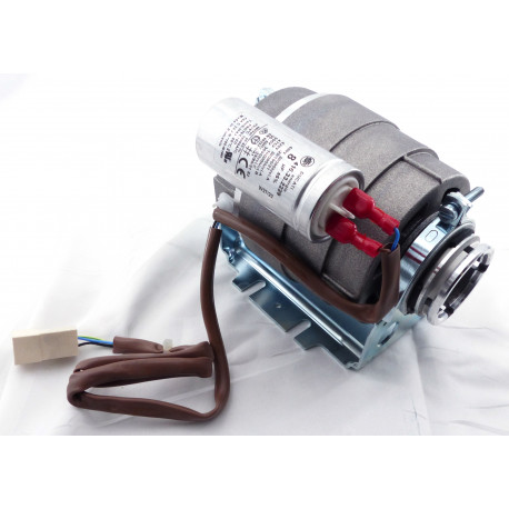 MOTOR COMPACT CONTI 150W 230V HERKUNFT CONTI - PBQ953276