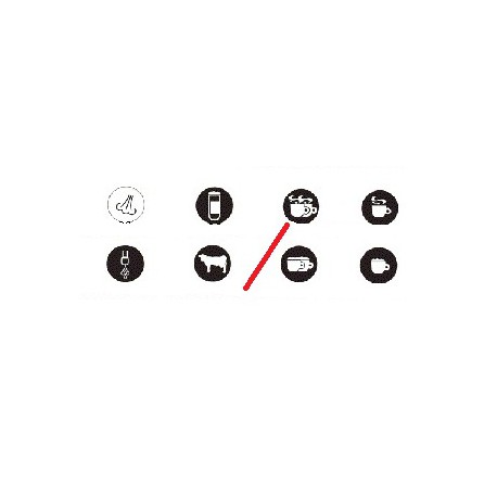 LENTILLE 2 GRANDS CAFES ORIGINE CONTI - PBQ911643