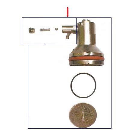 PISTONE SBOLLENTATURA COMPLETO - PBQ9106916