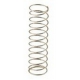 NON RETURN SPRING - RPZQ81