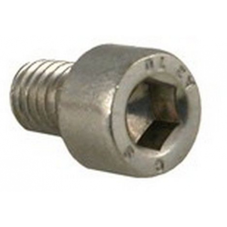 SCREW ALLEN 6X8MM - SQ777