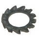 SERRATED WASHER - SQ091