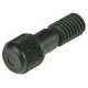 REGULATOR SCREW - SQ169