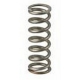 SPRING - SQ7567