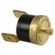 THERMOSTAT 100ø