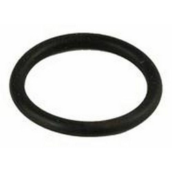 GASKET TORIC 20.63X2.62MM