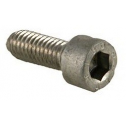 SCREW ALLEN DOOR DOUCHE 6X10MM