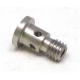 SHOWER SCREEN SCREW