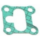 ALIMENTARY GROUP GASKET - CQ77