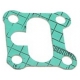 ALIMENTARY GROUP GASKET - CQ746