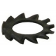 WASHER SERRATED D/5 GENUINE RANCILIO