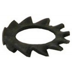 DICHTUNG SERRATED D/5 HERKUNFT RANCILIO