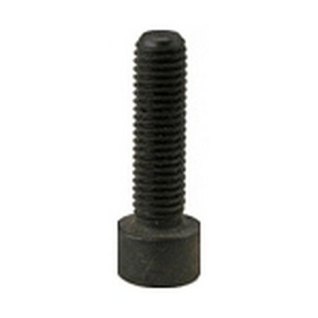 BLACK SCREW ALLEN 8X20 - EQ894