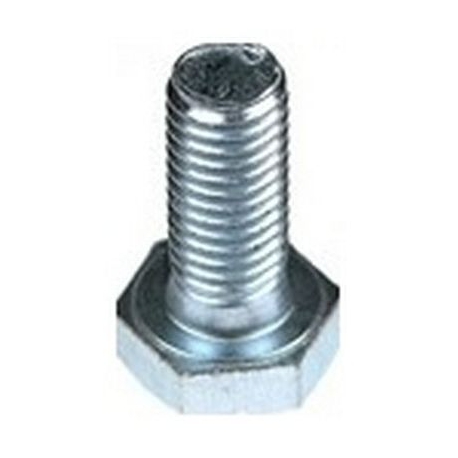 TORNILLO CALDERA - EQ809