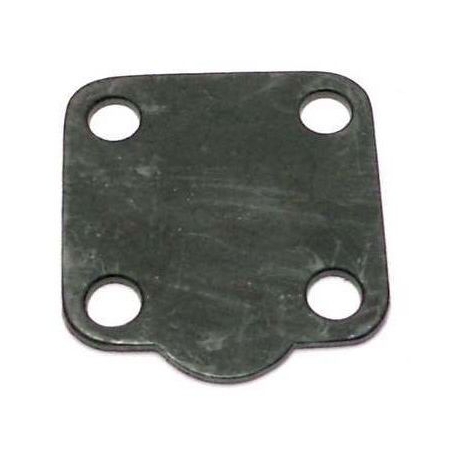 ALIMENTARY GASKET - EQ091