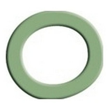 ALIMENTARY RESIST.GASKET - EQ093