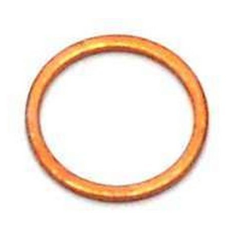 INFUSION CHAMBER GASKET - EQ6519