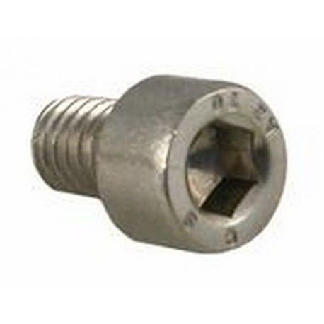 SCREW ALEN 6X8 MM - EQ895