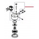 GROUPE ROND E61 NU ORIGINE SAN REMO - FNAQ282