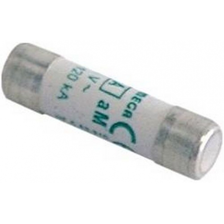 FUSE 10X38 2A TEMPORIZED WITH L UNIT - TIQ8278