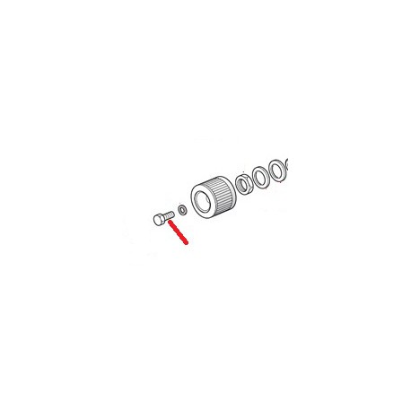 SCREW - FCQ19