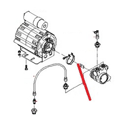 RACCORD MALE 1/8 ORIGINE BEZZERA