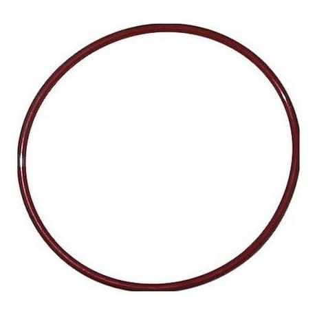JOINT VITON 300Ã¸ 2.62X74.27MM - HQ650