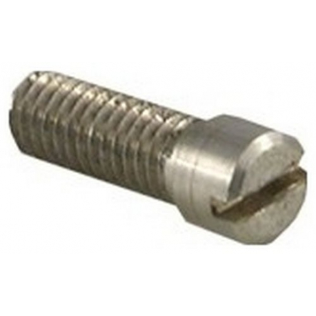 TORNILLO ESPECIAL - ZSQ69