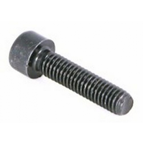 TORNILLO - PAQ79