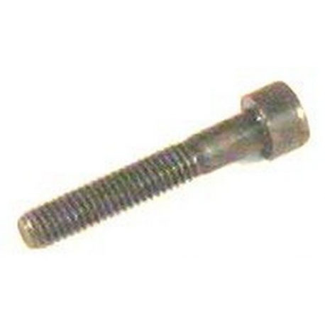 SCREW M6*35 - ZTQ765