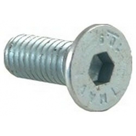 SCREW - ZK24