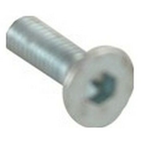 SCREW 3X10 - ZK655