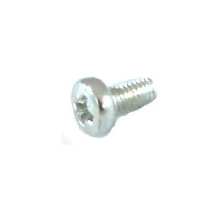 BLADE SCREW 4X8MM - ZKQ789