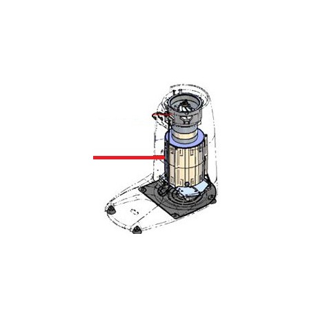 MOTEUR K10 MEULE CONIQUE 240V - ZKQ872