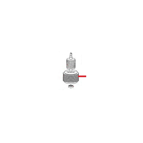 ESTATOR SUPER JOLLY 220/240V - ZEQ17