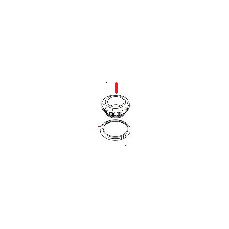 GRADUATION TOOTHED WHEEL - BOQ38