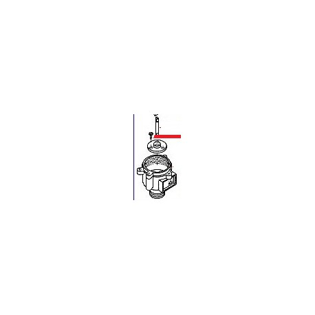 TORNILLO ACERO INOXIDABLE 4X8 - ZFQ759767