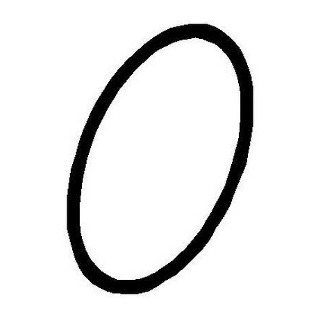 GOLD GASKET 47.22X3.53 - NFQ67859